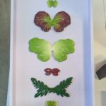 Keramik von Suzan Hijik